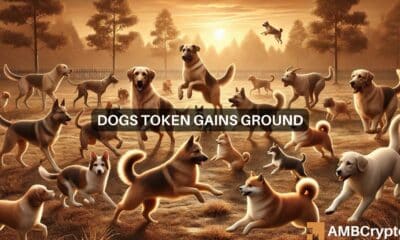 DOGS token