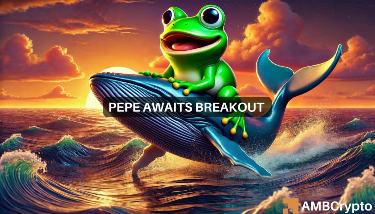 PEPE