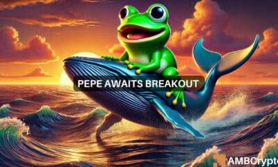 PEPE