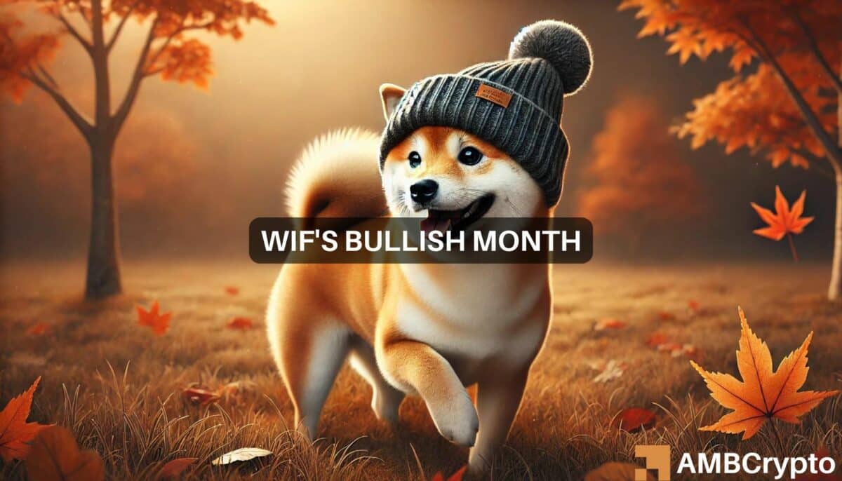 dogwifhat wif