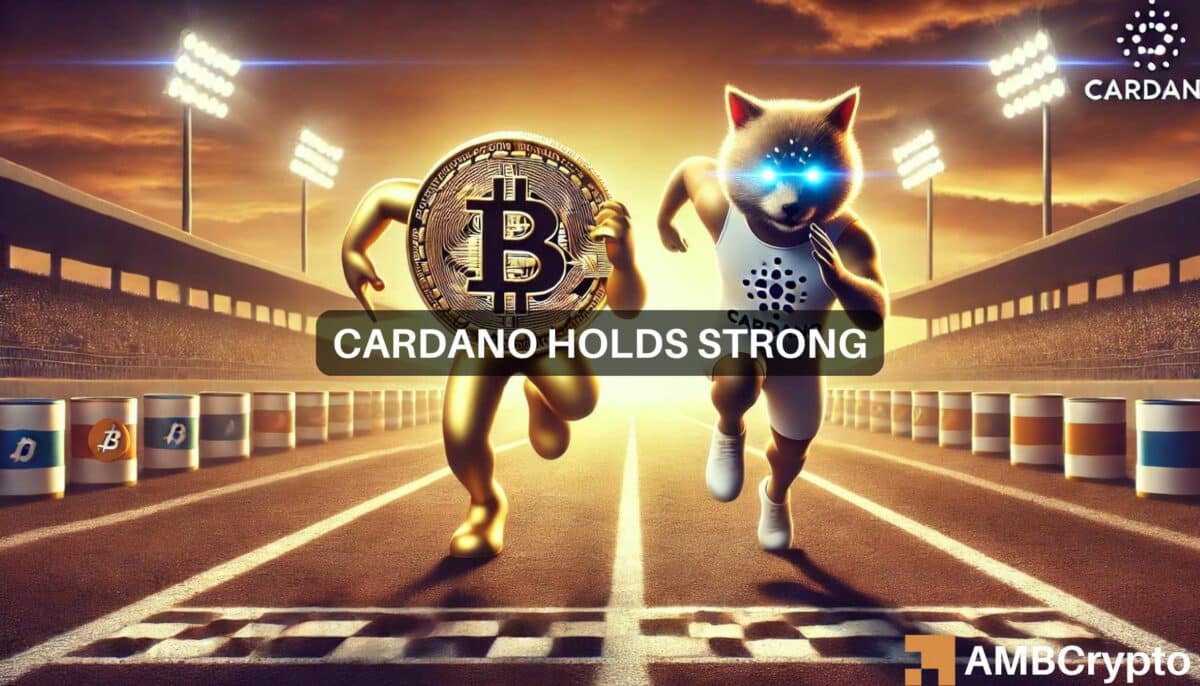 Cardano