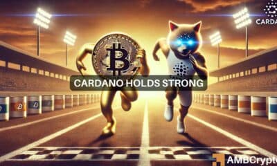 Cardano