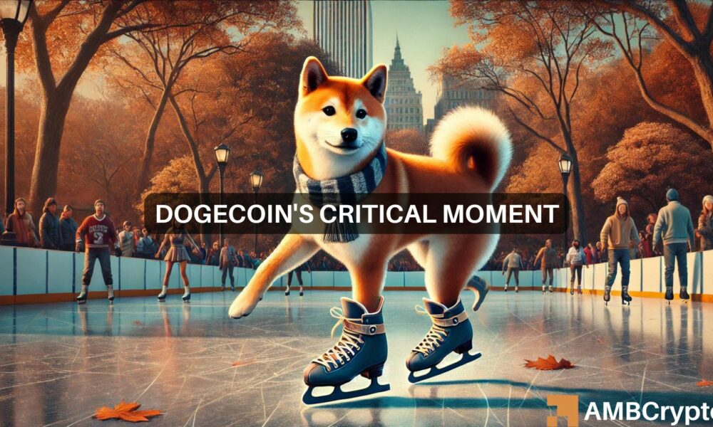 DOGE 테스트 키 지원을 통해 Dogecoin 가격 동향을 연구하세요