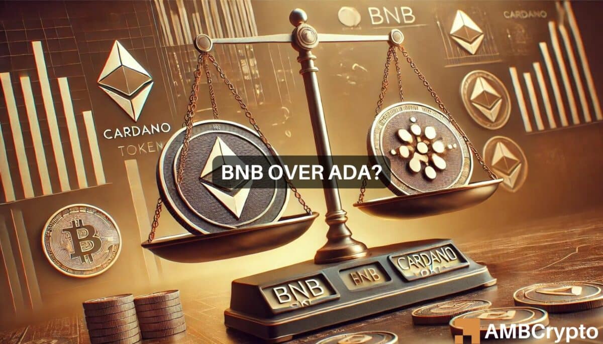 bnb cardano