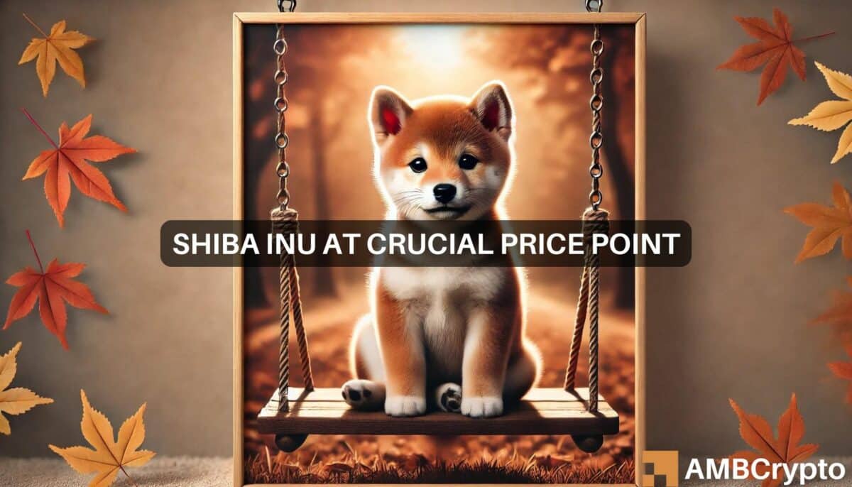 Shiba Inu