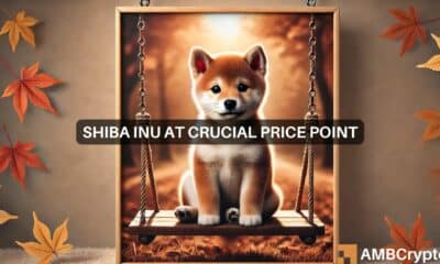 Shiba Inu