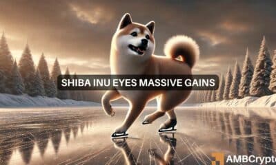 Shiba Inu