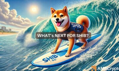 Mapping Shiba Inu's price prediction as SHIB rallies 12% in 24 hours