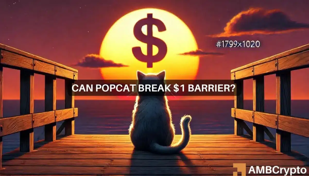 POPCAT eyes $1, but it's next move depends on Bitcoin - Why?