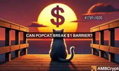 POPCAT eyes $1, but it's next move depends on Bitcoin - Why?