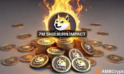 SHIB burn rate surges by 3348% - Will this push Shiba Inu to $0.00002?