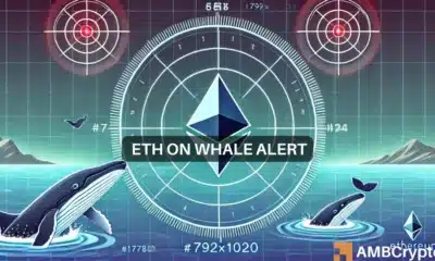 Ethereum Whale