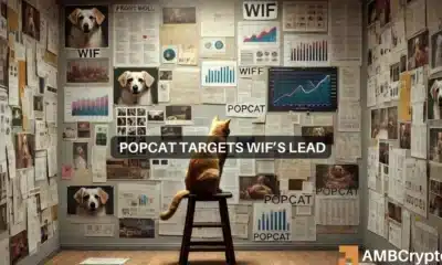 POPCAT Targets WIF