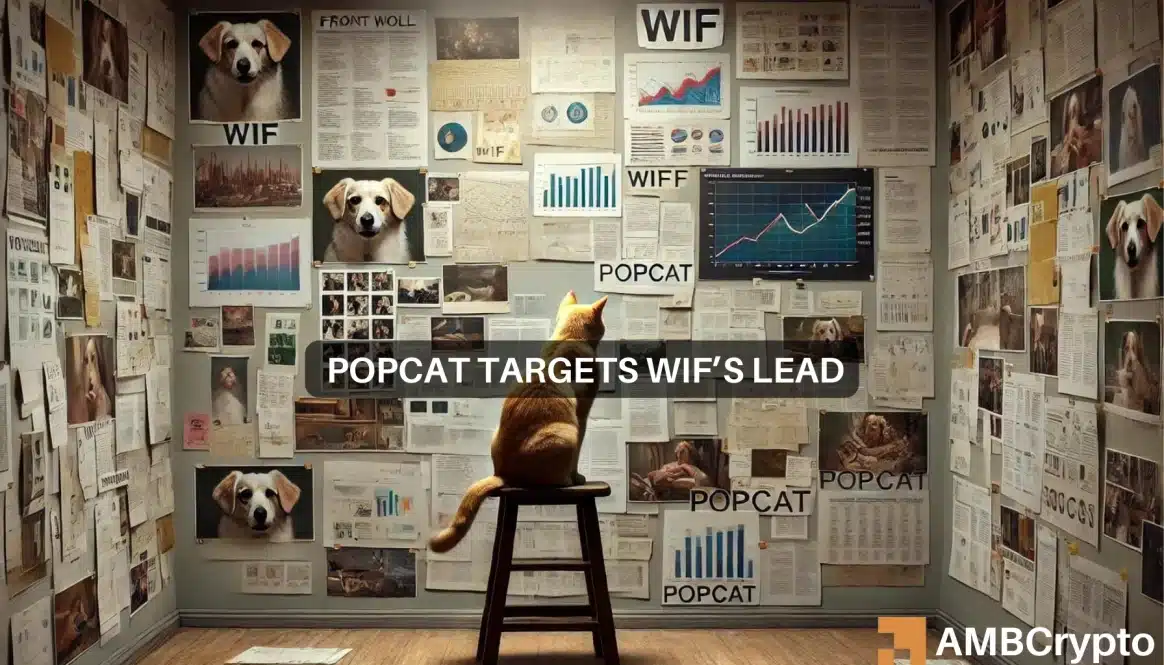 POPCAT Targets WIF