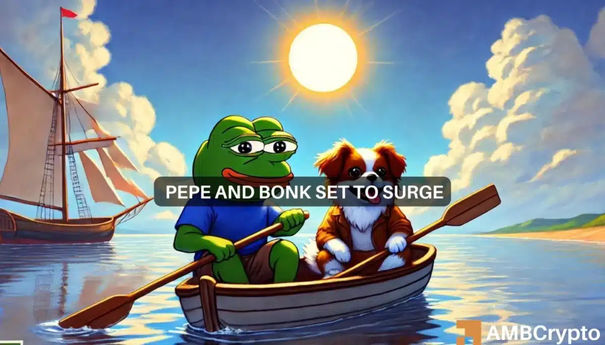 BONK coin, PEPE surge 10% after Transak listing - Will the rallies hold?