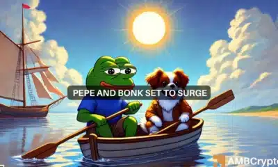 BONK coin, PEPE surge 10% after Transak listing - Will the rallies hold?