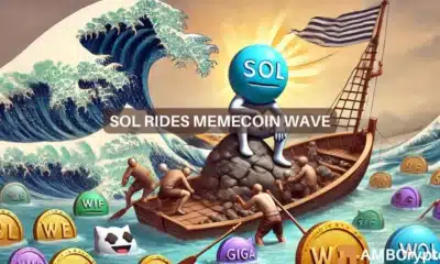 Solana memecoins