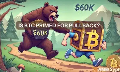 BTC at $56K - Here's what can trigger BTC's next bull run