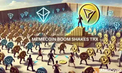 TRX drops to $0.15: Are Tron memecoins to blame?