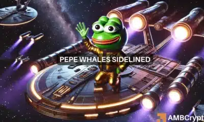 Examining the lack of a Pepe trend- what are the conditions to be met for the next move?