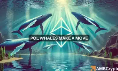 Polygon whales make a move