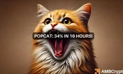 POPCAT surges close to 35% in a day, but worrying signs emerge