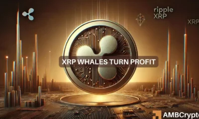 XRP surges past $0.60 - How whales helped the rise