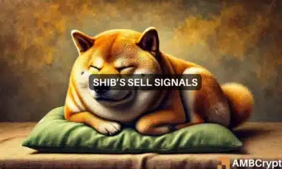 Short-Term Selling Pressure Looms Over Shiba Inu After Recent Gains