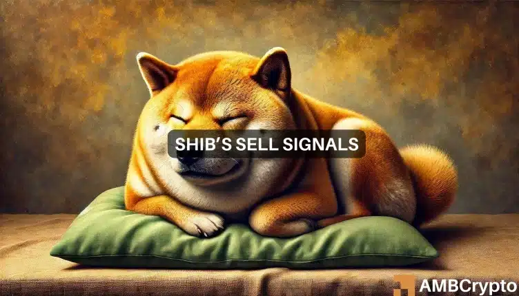 Shiba Inu: Selling Pressure Looms on SHIB Stock After Recent Gains – What Now?