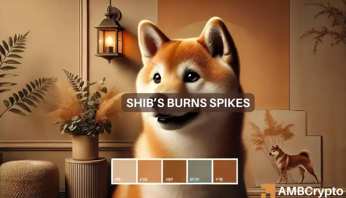 Shiba Inu burns rise, this is why SHIB remains below crucial levels