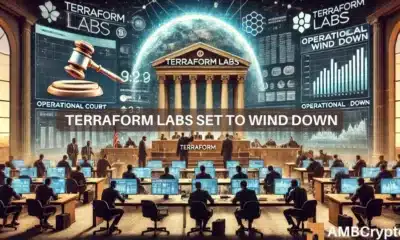 Terraform Labs receives bankruptcy nod: A turning point?