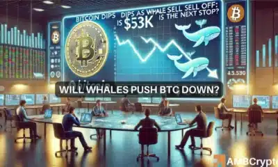 Will whales push Bitcoin down?