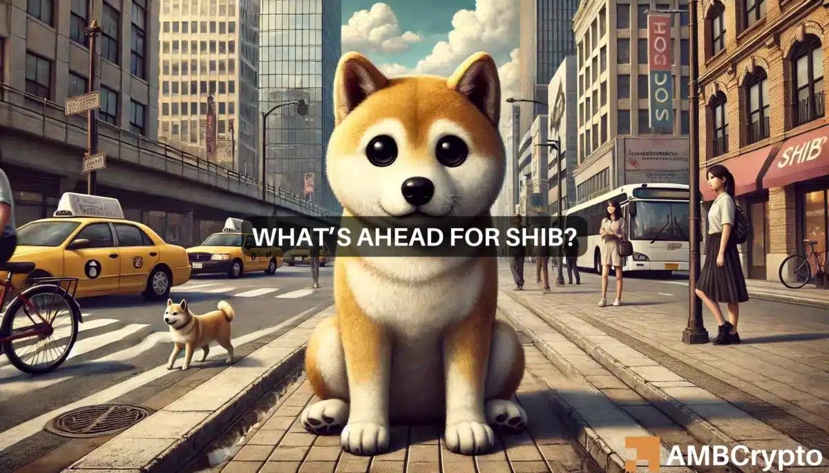 Shiba Inu encounters key resistance zone: Assessing next steps