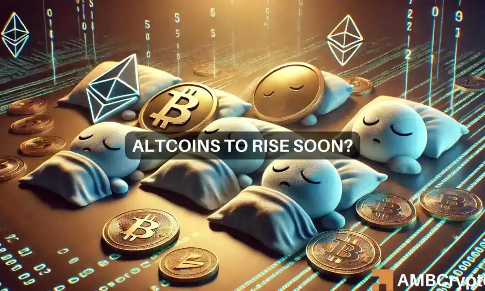 Altcoins can undergo a major rally soon, but on THIS condition