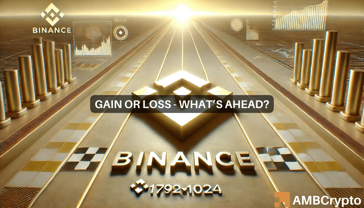 Binance Coin sees a decline, but will THIS save BNB?