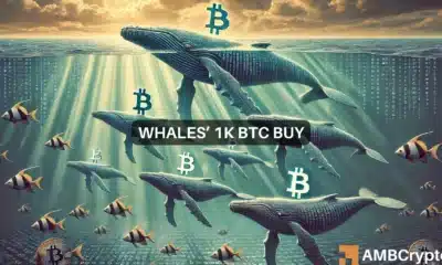 Bitcoin whales continue to impact BTC amidst 1K token move