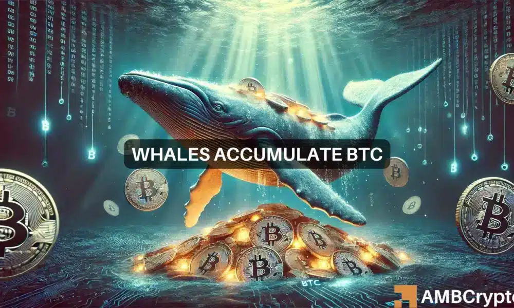 Bitcoin whales gather $157.3 mln BTC in market dip: Bullish signs?