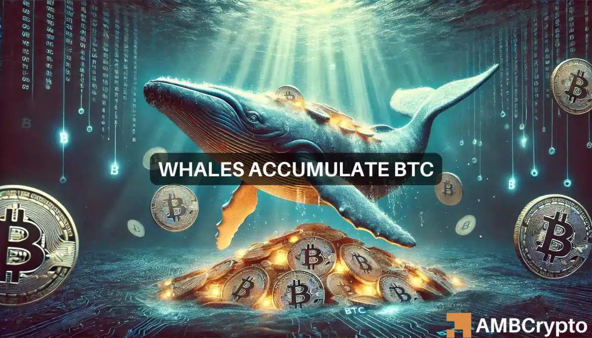 Bitcoin whales gather $157.3 mln BTC in market dip: Bullish signs?