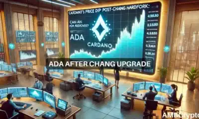 cardano after Chang upgrade