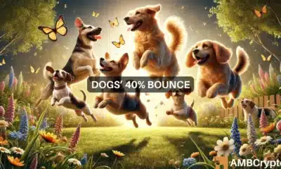 DOGS set for a 40% rally, predicts expert - Here's why