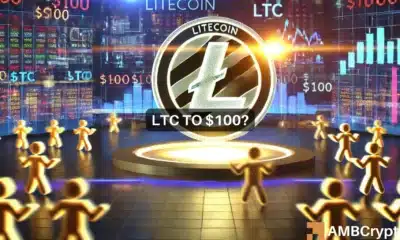 Litecoin analysts predict $100 target as bulls gear up