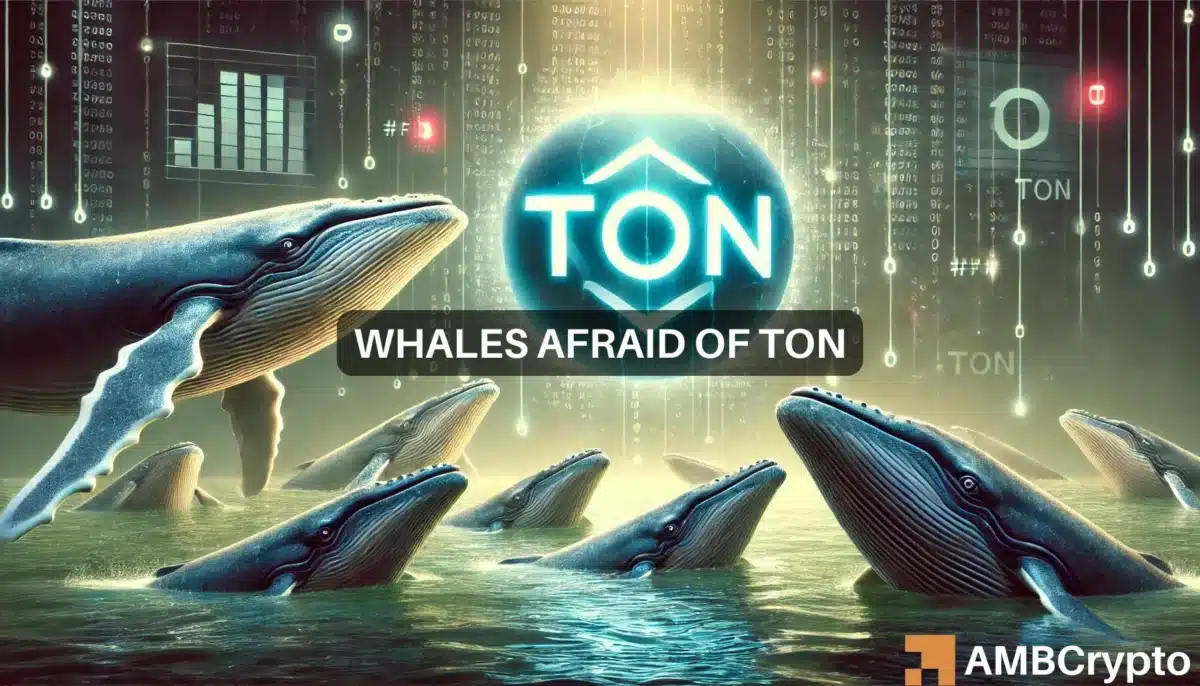 Toncoin gains 6.62% after Pavel Durov's statement, but THIS raises fresh concerns