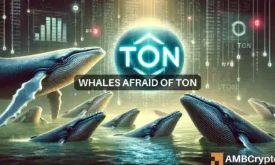 Toncoin gains 6.62% after Pavel Durov's statement, but THIS raises fresh concerns