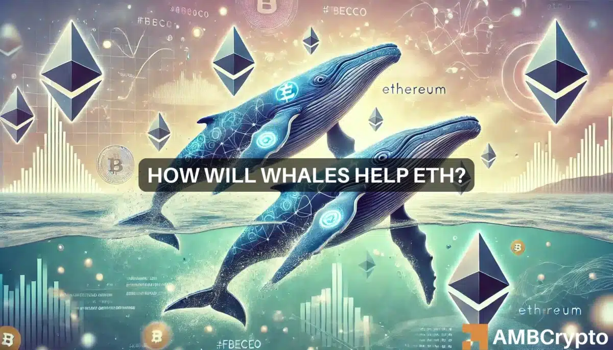 Ethereum whales buy $19 mln in ETH - Bullish sign?