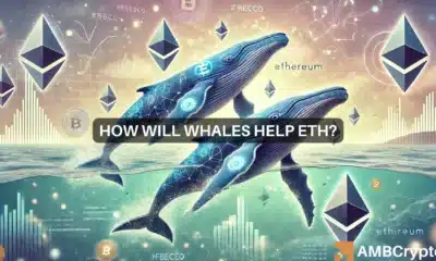 Ethereum whales buy $19 mln in ETH - Bullish sign?