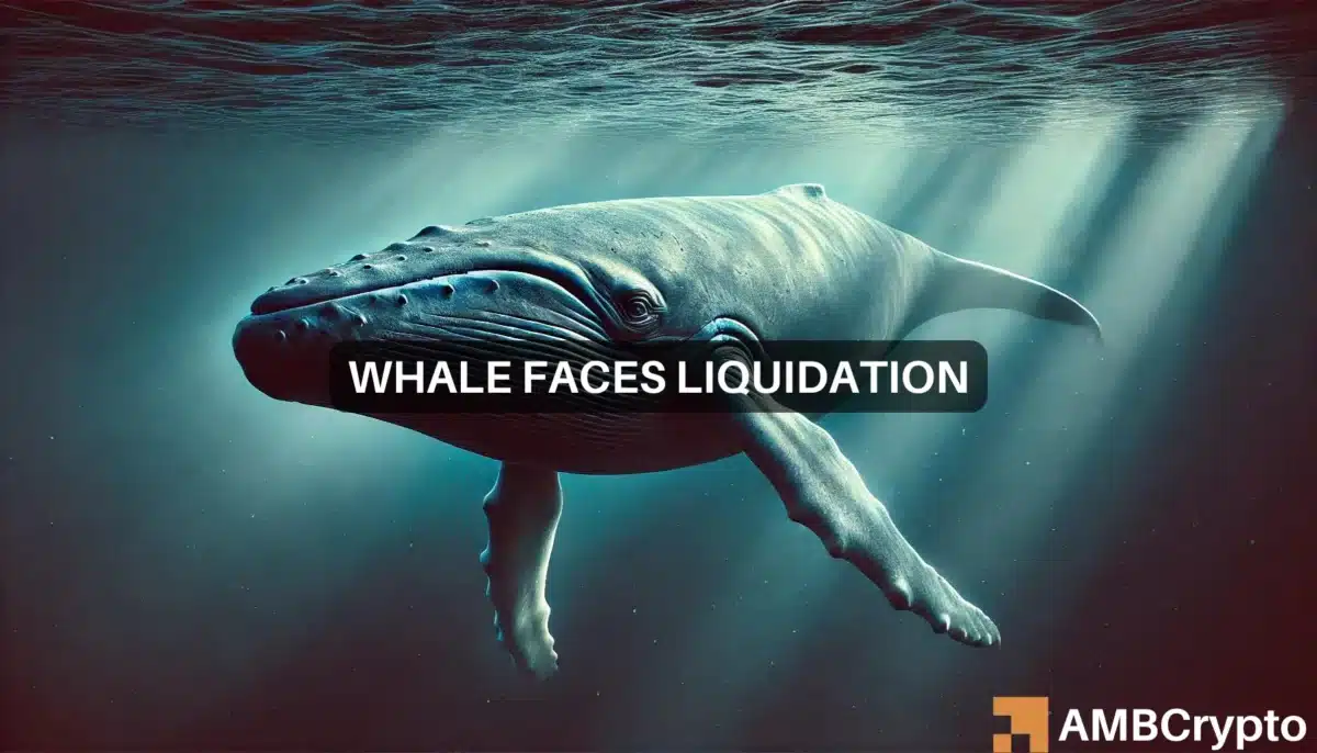 Crypto whale faces $28 mln WBTC liquidation: Will this affect Bitcoin?