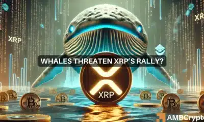 Whale sell-offs threaten XRP's rally despite bullish forecasts