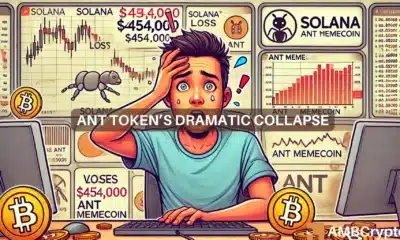 ANT token's dramatic collapse