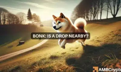 bonk