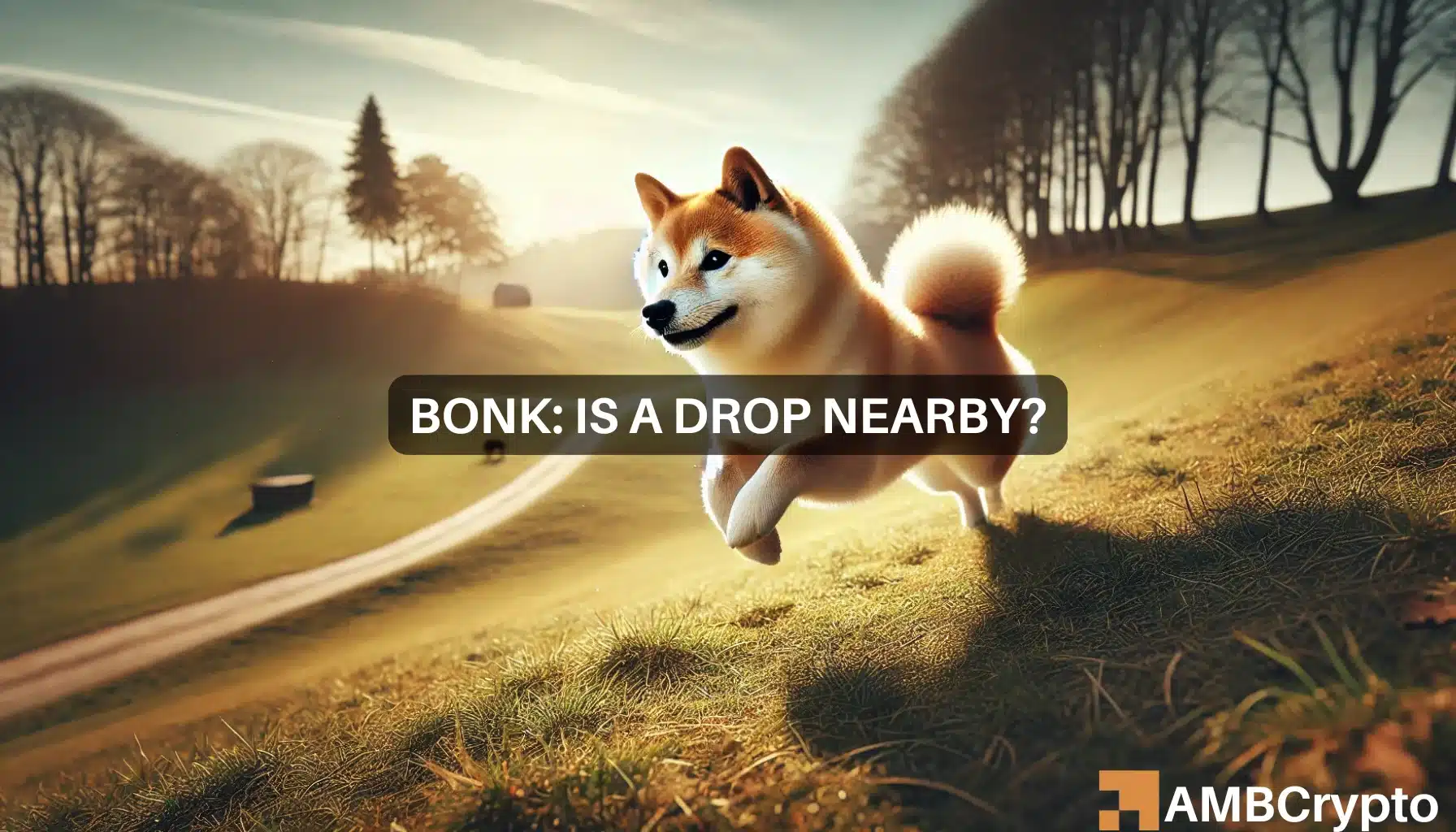 bonk